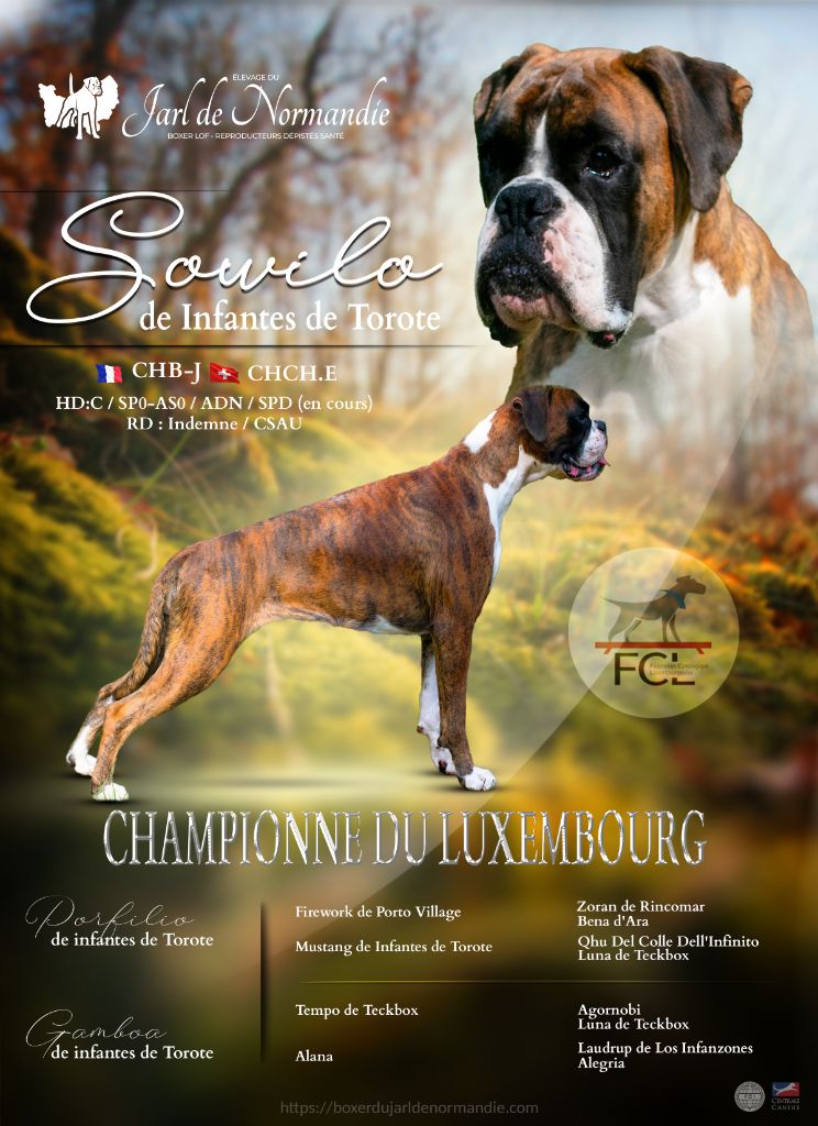 Champion du Luxembourg