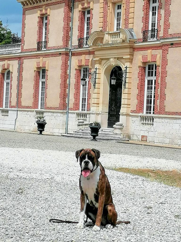 Sowilo est les expos de beauté